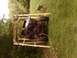 IMG00036-20100523-1256.jpg