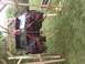 IMG00037-20100523-1315.jpg