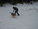 1995 Ford Bronco - A person and their dog enjoy a winter day in the snow.