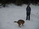 1995 Ford Bronco - A dog and a person stand in a snowy outdoor scene.