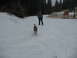 1995 Ford Bronco - Dog runs through snow towards a person in a winter landscape.