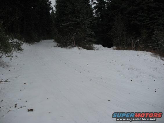 Snowy forest road with tire tracks