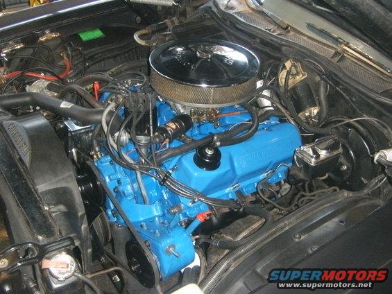 motoreinbau-dr-mustang-077.jpg