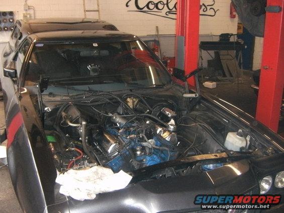 motoreinbau-dr-mustang-006.jpg