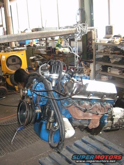 Blue V8 engine with chrome valve covers, distributor, and exhaust manifolds, suspended by chains in a workshop