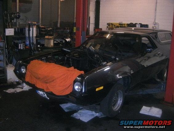 motoreinbau-dr-mustang-034.jpg