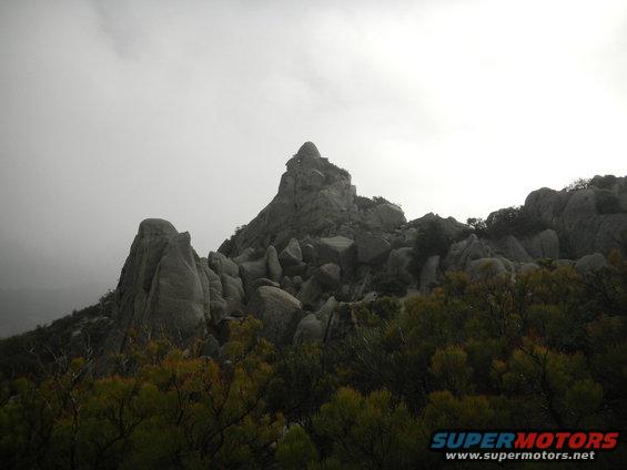 dscn0822.jpg