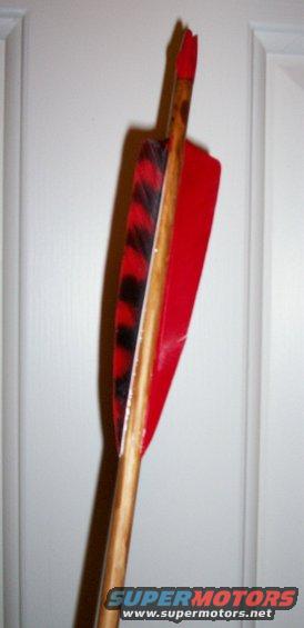 100_1702.jpg 
