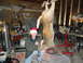 2006 Dodge 2500 - A man in a Santa hat poses with a deer carcass hanging in a cluttered garage.