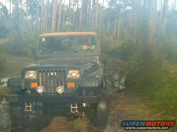 dscf0030.jpg stump trail