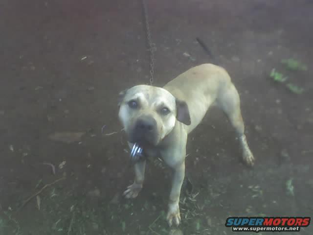 multimedma190578050001.jpg The amazing, multi talented, and handsome Mr. Red!