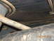 DSCN0750.JPG