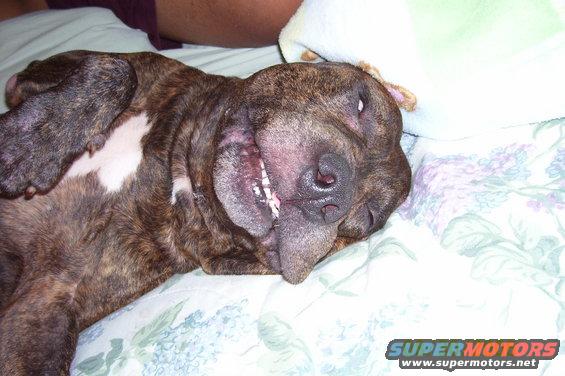 100_0218.jpg Margaritaville.