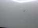 2003 Mazda 6 - Close-up of a white car's body panel showing damage and dirt.