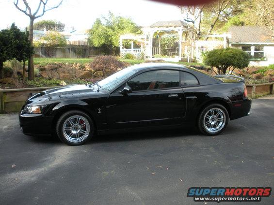 Black 2003 Ford Mustang Cobra coupe, side view, chrome wheels, red brake calipers, slight damage on front bumper