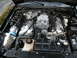 2003 Ford Mustang - The engine bay of a 2003 Ford Mustang Cobra features a prominent supercharger and various engine components.