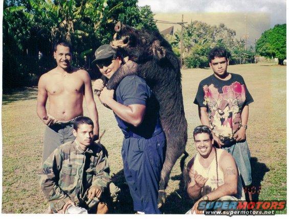 Berasis with the hog along with from bottom left clockwise, Bliss, Rooster, Tony, Andy.