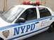 2002 Ford Crown Victoria photo