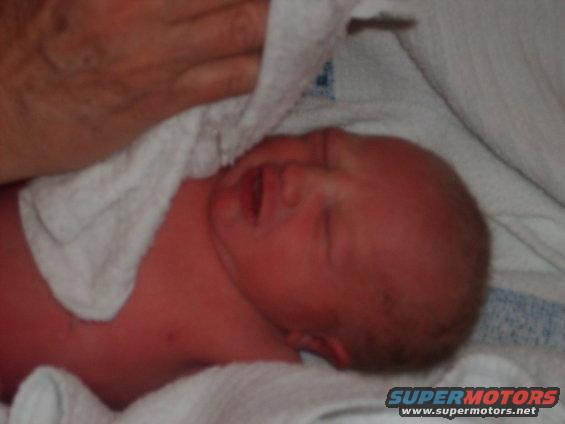 newborn baby wrapped in blankets