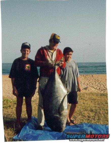Uncle Bill Wright and his 106 lb Ulua caught shore casting on Molokai back in April 17, 1992. This catch made it in Hawaiis Fishing News 100 lb plus club. He used a 13.8 ft Fenwick pole, Penn 6/0 Senator Reel, and 80 pound test Maxima line and fought it for 21 minutes. My dad made the gaff.
