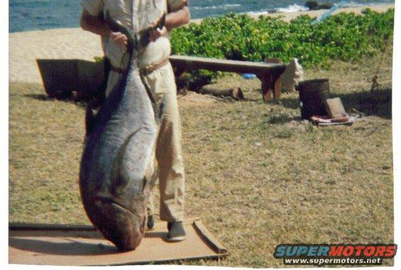 Another one of Uncle Bill's. He was a good fisherman and hunter.