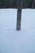2000 Chevrolet Tahoe - A ruler is used to measure the depth of snow in a winter scene.