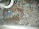 1992 Ford Taurus