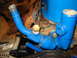 1985 Ford F-150 - Close-up view of engine coolant plumbing, showing blue painted pipes and brass fittings attached to the engine block.