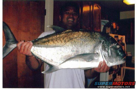 My bother in law Ryan Tambalo and his 27lb Ulua he caught diving.