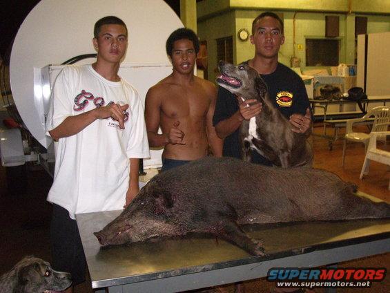 Sean, Daylan, Josh.