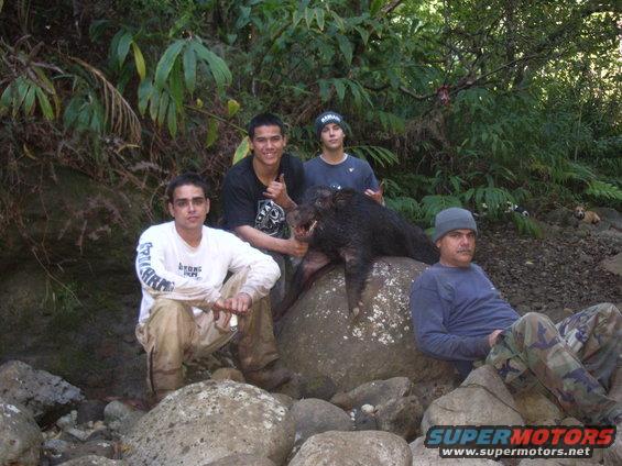Tony, Peter Boy, Tim and Wile E Coyote.