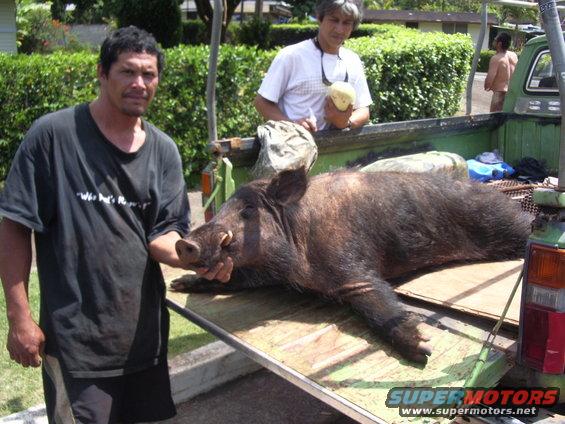 Richies cousin John K. and Dave Plunkett in background with a neighbor looking at Johns hog.