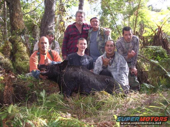 Big Island hunting with Rooster at bottom right with Gabby Gonsalves and Vance at far right and their friends.