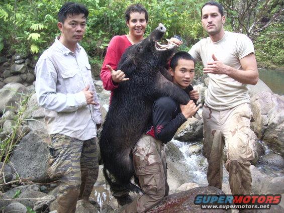  Chin, Tim, DJ, and Miguel.