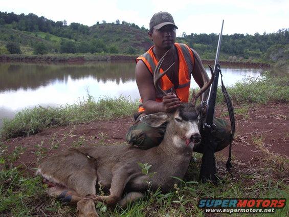 An extremely rare 9 point Kauai Blacktail buck taken by Richies friend to be IDd later.