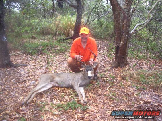 Richard DeLima Jr and his rare Kauai Blacktail 8 point buck. The locals said that you can go decades before even seeing one! It took Richard just a couple trips there. They should send him to hunt for Bin Laden and maybe hed find him in 2 weeks.