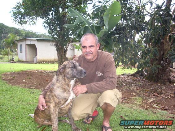 Richard on Kauai meeting up with his old bud, Pili. Pili is son of Ipo and littermate brother to Nui. 