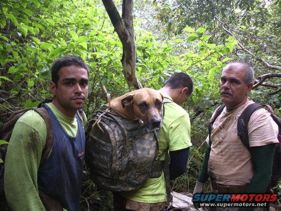 imgp0825.jpg DeLimas Kaiser Permanente Medivac Service humping a dog out too wounded to walk. Thats Paio the day his intestines were all hanging out and they stapled him up and a few months later, back in the bush. No smiles this day, but a good ending.