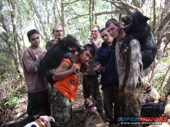 Men with wild boar and dogs in wooded area
