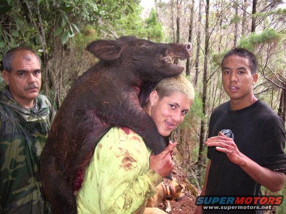 Three men pose with a large wild boar carcass in a wooded area. A dog is visible in the foreground