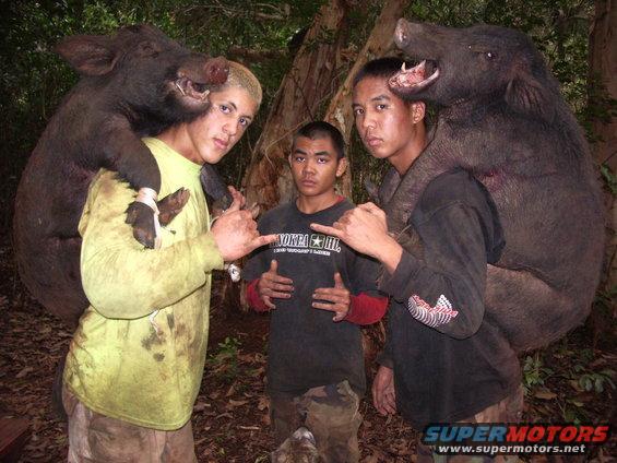 Three young men in a wooded area, each carrying a large dead wild boar over their shoulders