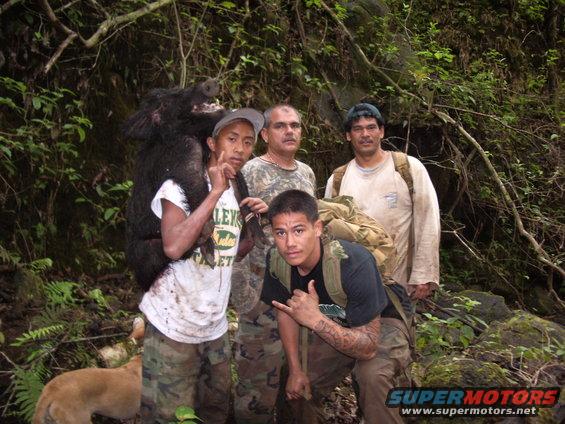 Four men and a dog in a forest, one man carrying a wild boar over his shoulders