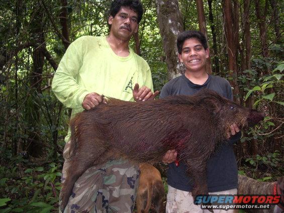 Two men in a forest holding a large wild boar. A small dog is visible between them