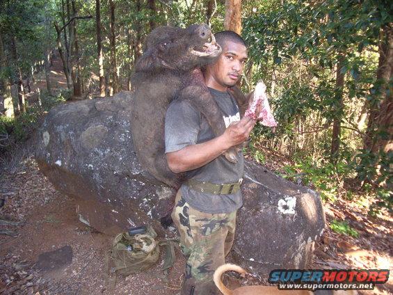 man in woods carrying a wild boar over his shoulders, holding a piece of meat