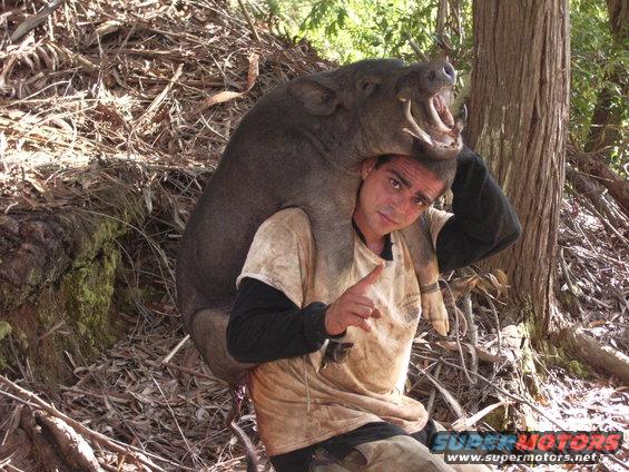 Man with wild boar on shoulders, pointing finger