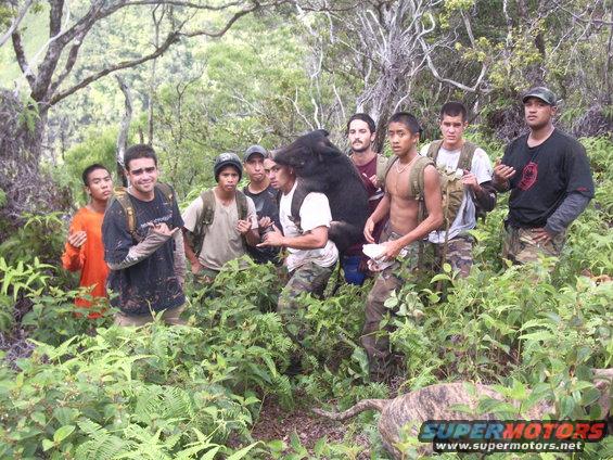 Group of men in a forest holding a bear, with a dog in the foreground