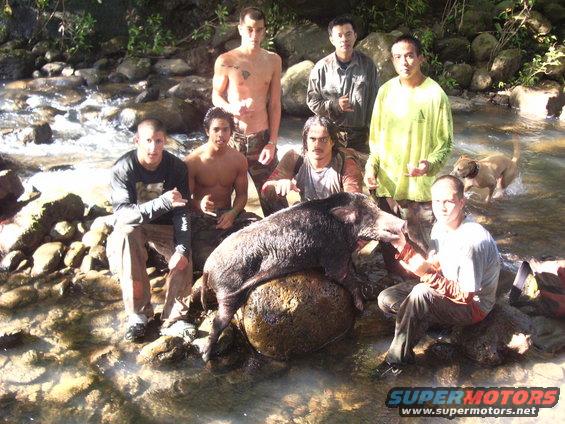 Group of men posing with a large wild boar on a rock in a stream