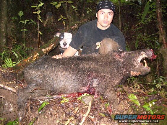 Man with dead wild boar and dog in forest