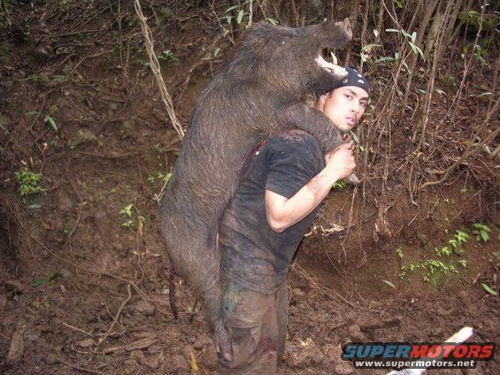 Man carrying a large wild boar over his shoulders in a muddy, wooded area. Watermark reads SUPERMOTORS.NET