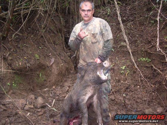 Man in camo shirt holding a wild boar he hunted